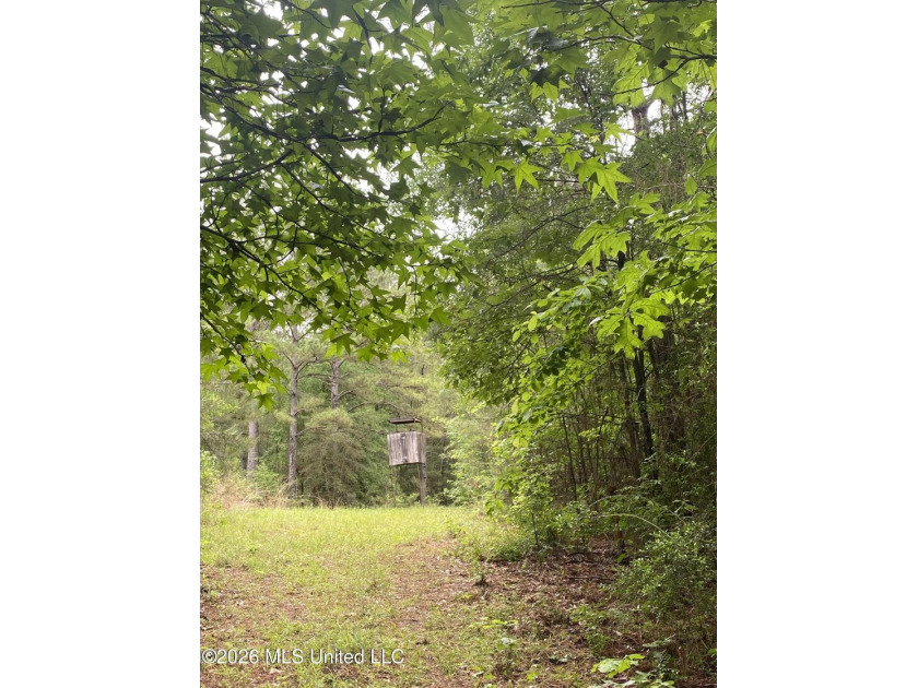 **Secluded Hardwood Haven in Amite County, Mississippi!** Escape - photo 24