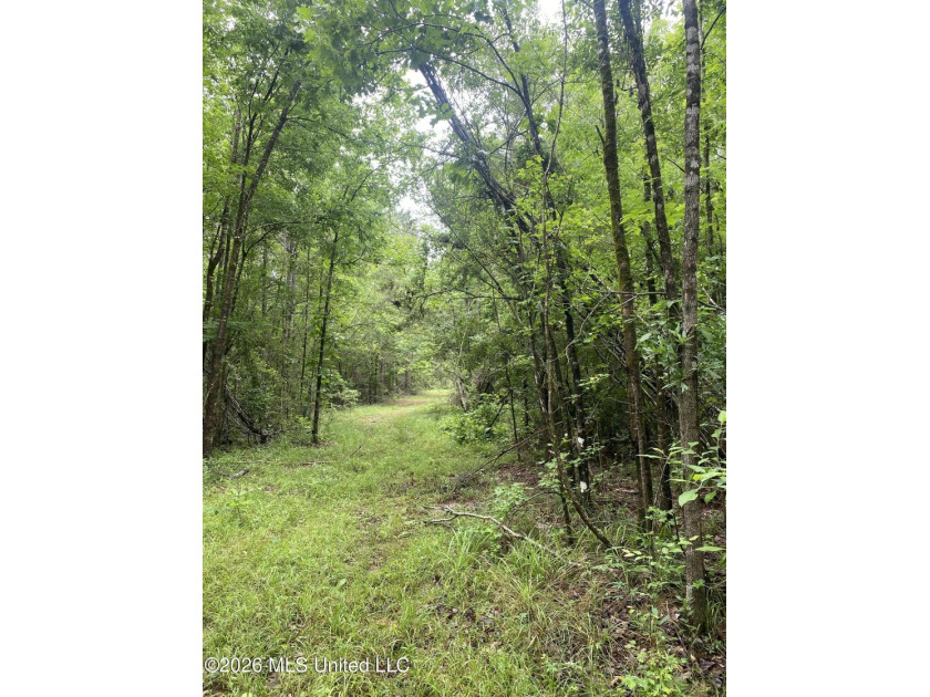 **Secluded Hardwood Haven in Amite County, Mississippi!** Escape - photo 31