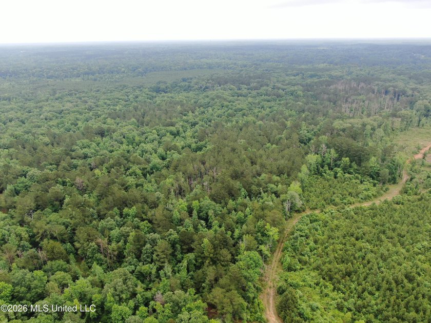 **Secluded Hardwood Haven in Amite County, Mississippi!** Escape - photo 37