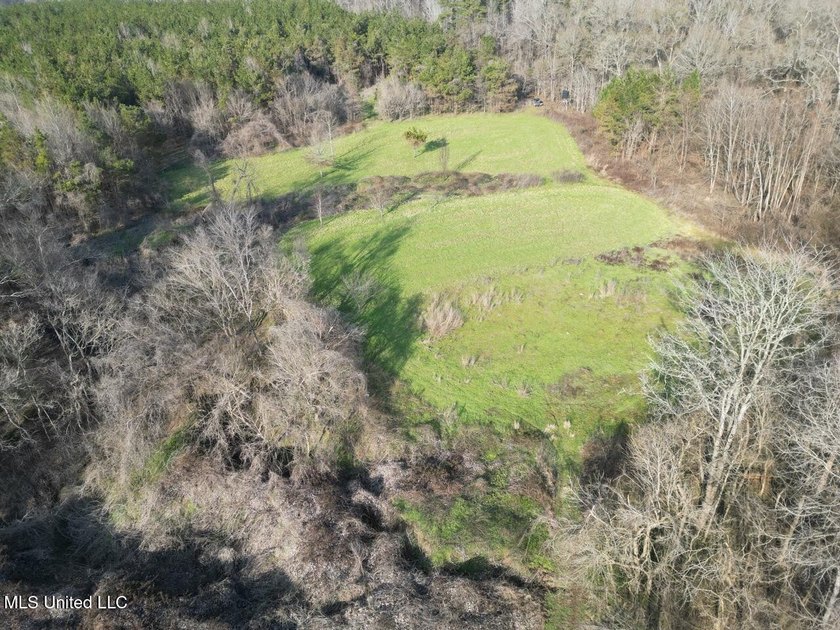 Tucked just off Highway 61 in Lorman, Mississippi, this 140+/- - photo 12