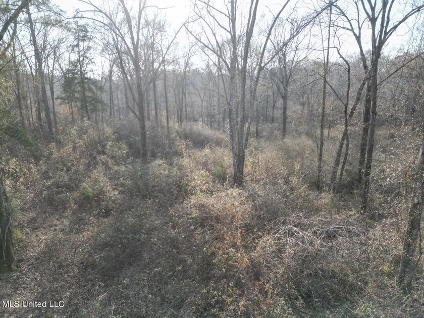 Tucked just off Highway 61 in Lorman, Mississippi, this 140+/- - photo 15