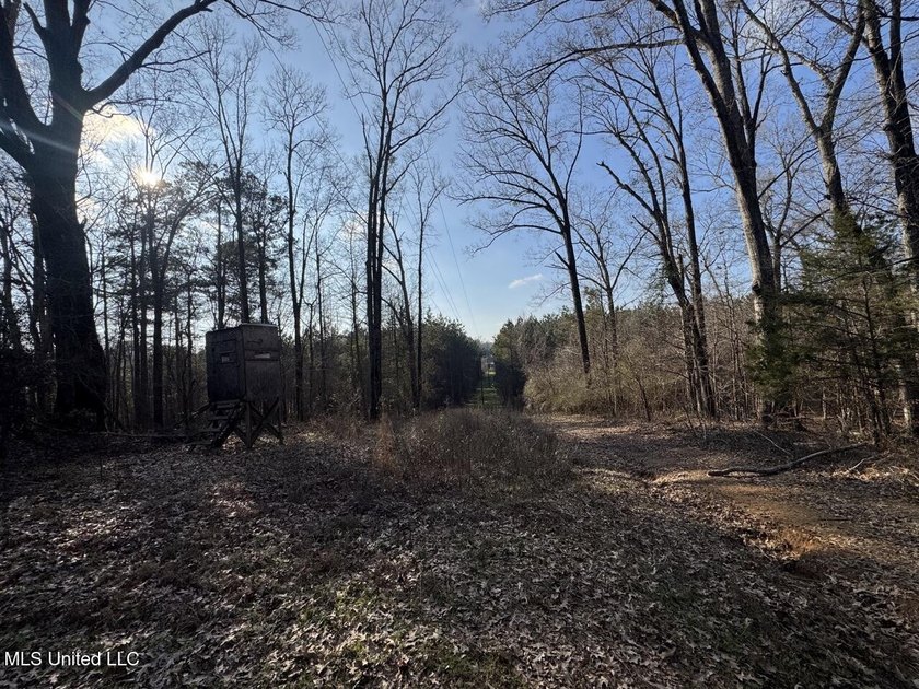 Tucked just off Highway 61 in Lorman, Mississippi, this 140+/- - photo 42
