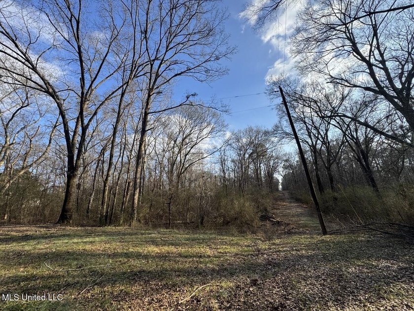 Tucked just off Highway 61 in Lorman, Mississippi, this 140+/- - photo 48