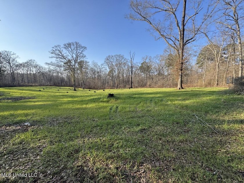 Tucked just off Highway 61 in Lorman, Mississippi, this 140+/- - photo 49