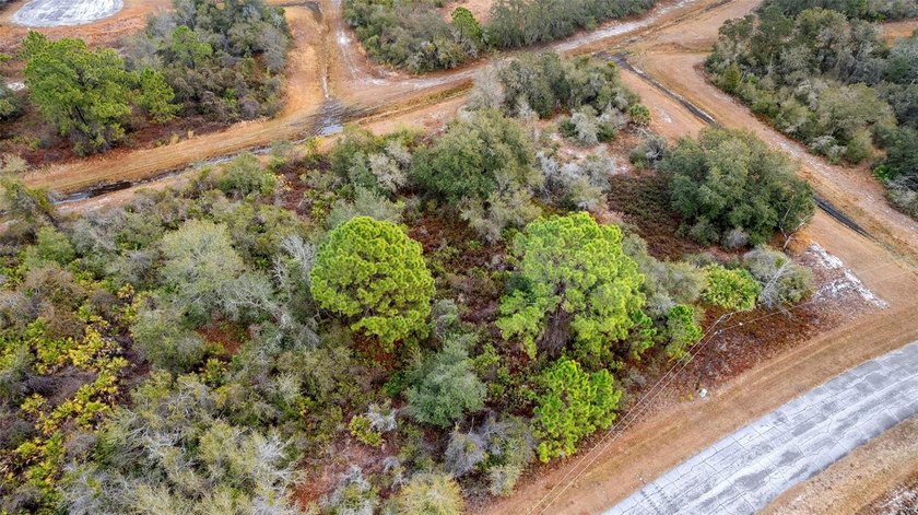 SPECIAL OPPORTUNITY located in the growing community of - photo 14