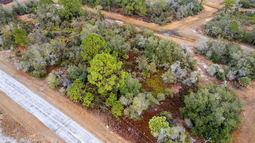 SPECIAL OPPORTUNITY located in the growing community of - photo 16