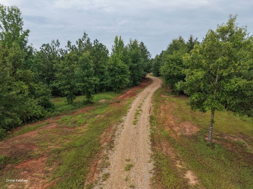 A 205+- acre sportsman's paradise and Southern Caldwell Parish - photo 5