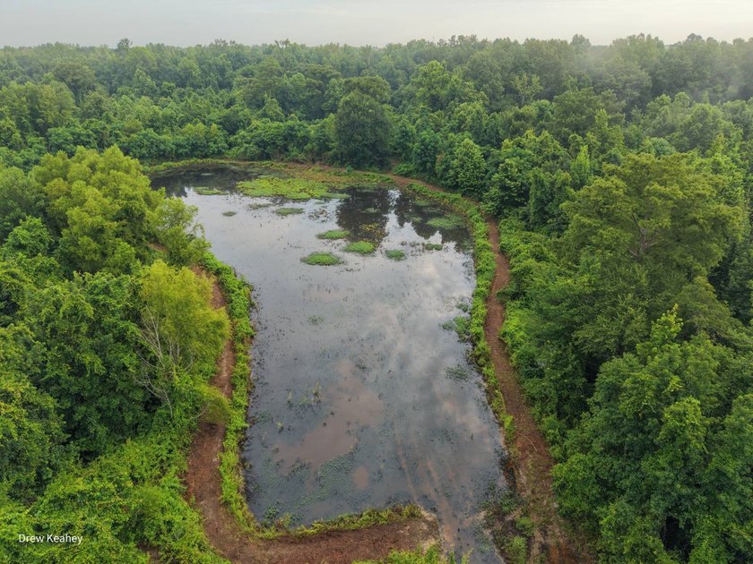 A 205+- acre sportsman's paradise and Southern Caldwell Parish - photo 6