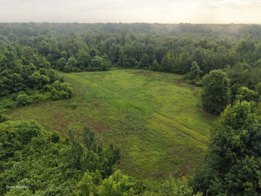 A 205+- acre sportsman's paradise and Southern Caldwell Parish - photo 7