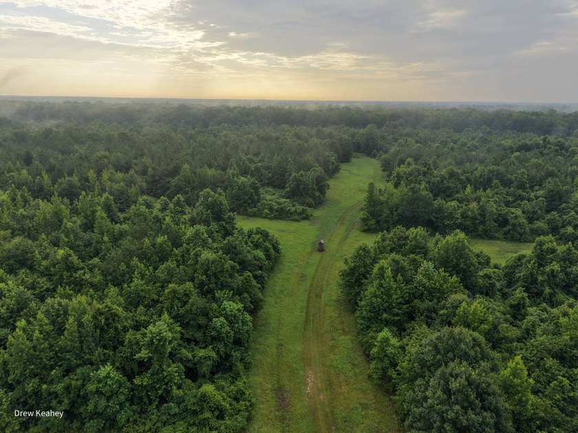 A 205+- acre sportsman's paradise and Southern Caldwell Parish - photo 8