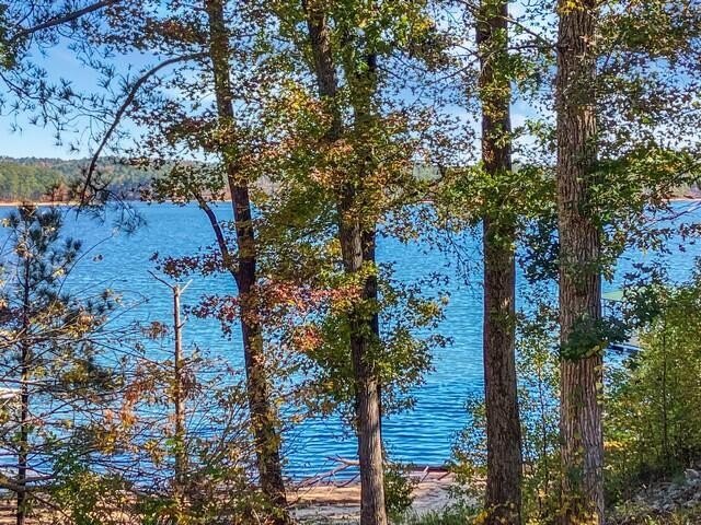 Build your dream lake home on this 1.14 acre private lake lot in - photo 3