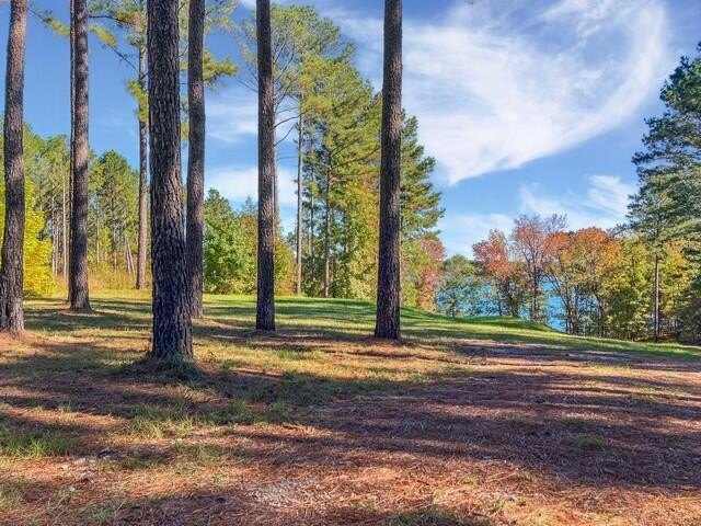 Build your dream lake home on this 1.14 acre private lake lot in - photo 5