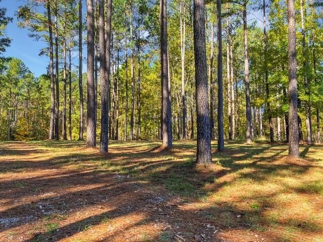 Build your dream lake home on this 1.14 acre private lake lot in - photo 10