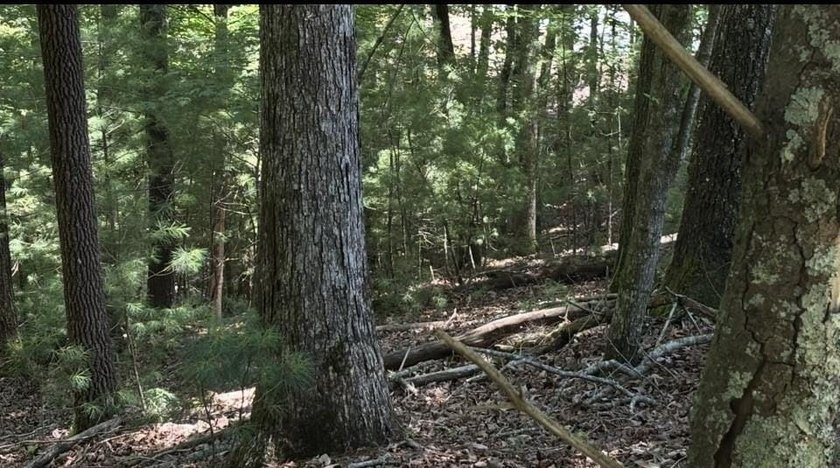 Build your North Georgia mountain dream home on this beautiful - photo 2