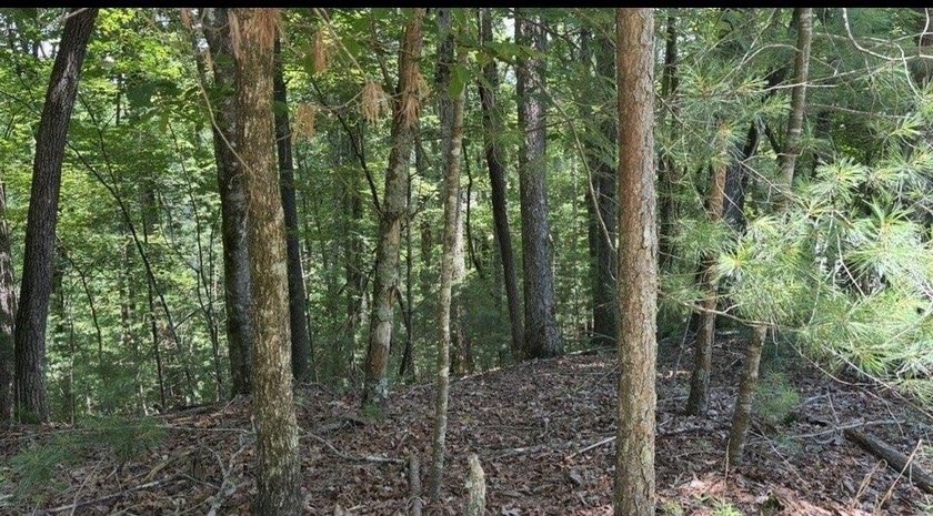 Build your North Georgia mountain dream home on this beautiful - photo 4