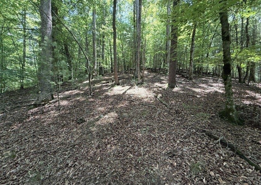 Build your North Georgia mountain DREAM HOME on this beautiful - photo 3