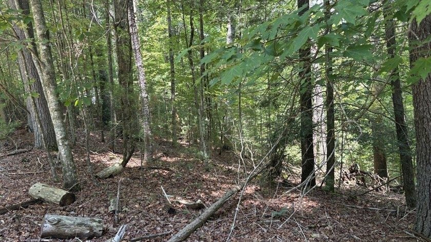 Build your North Georgia mountain DREAM HOME on this beautiful - photo 4