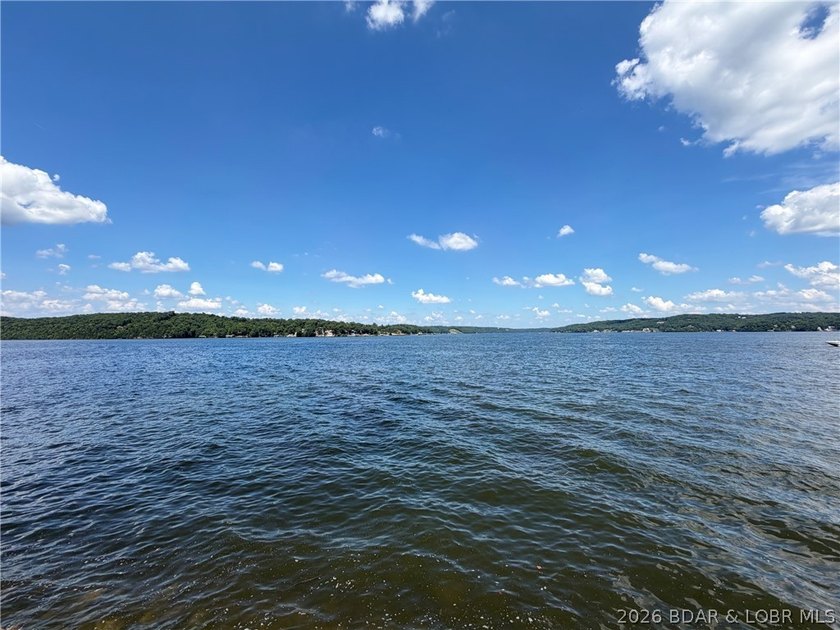Lakefront living at its finest! Luxurious Setting with Stunning - photo 38