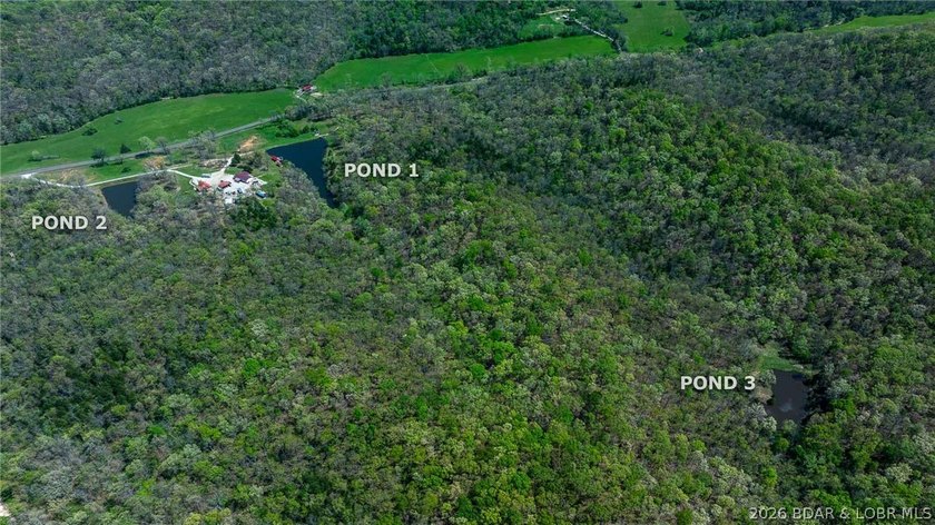 Tucked just outside Versailles, this 221+/- acre farm offers the - photo 3