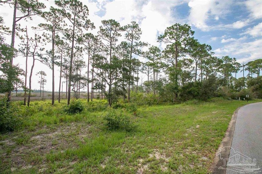 Build Your Dream Home on Innerarity Island - Russell Bayou Rare - photo 3