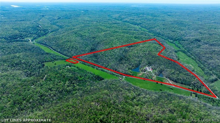 Tucked just outside Versailles, this 221+/- acre farm offers the - photo 5