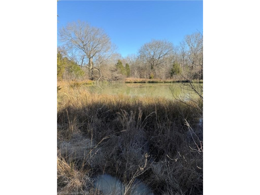 Discover 28 acres of opportunity just outside Keota near - photo 2