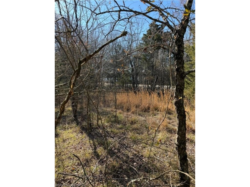 Discover 28 acres of opportunity just outside Keota near - photo 3