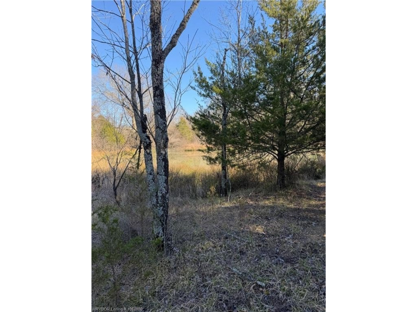 Discover 28 acres of opportunity just outside Keota near - photo 4