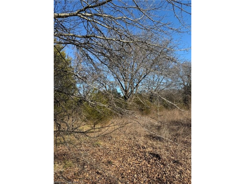 Discover 28 acres of opportunity just outside Keota near - photo 10