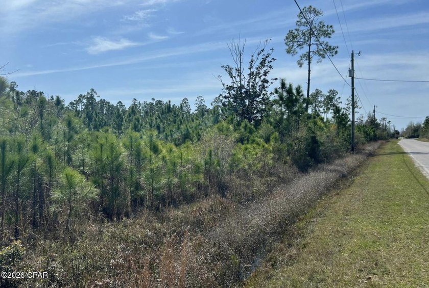 Enjoy the best of both convenience and nature with this 9.5-ACRE - photo 2