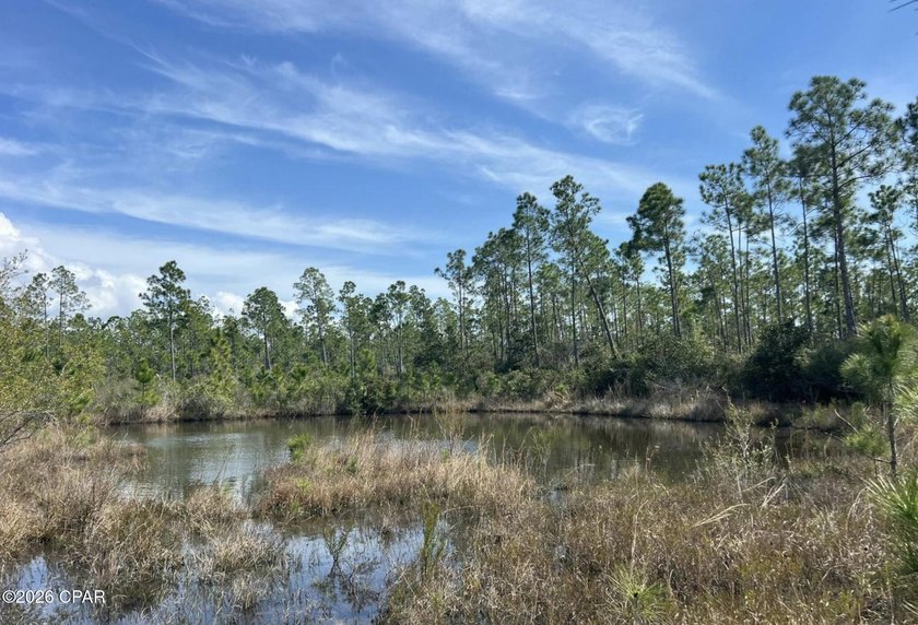 Enjoy the best of both convenience and nature with this 9.5-ACRE - photo 3