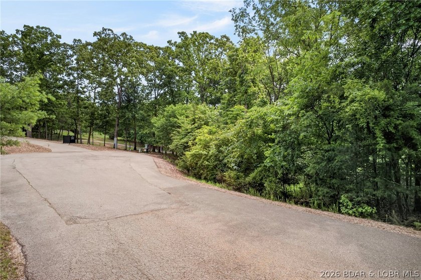 Gorgeous end-of-cul-de-sac lot perfectly positioned on the 3rd - photo 6