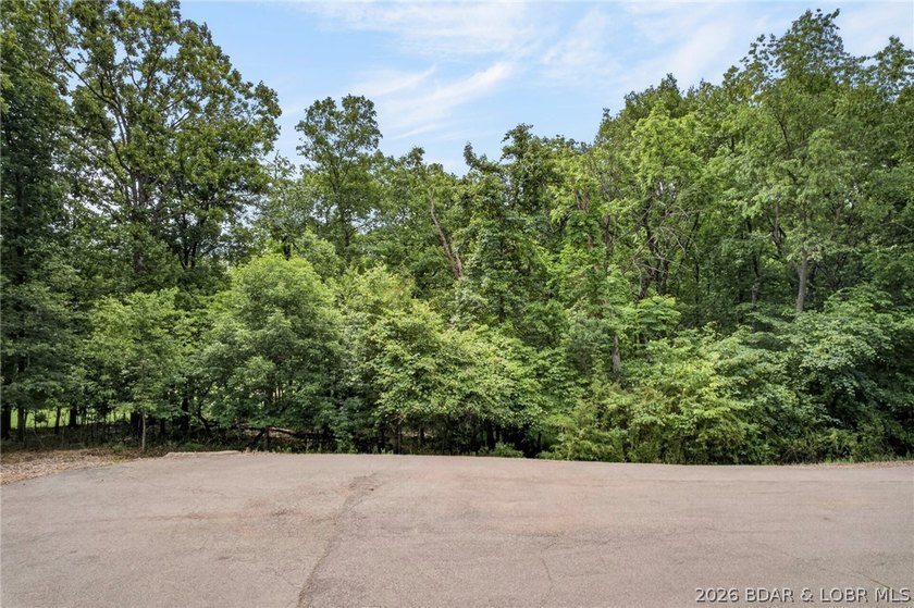 Gorgeous end-of-cul-de-sac lot perfectly positioned on the 3rd - photo 9