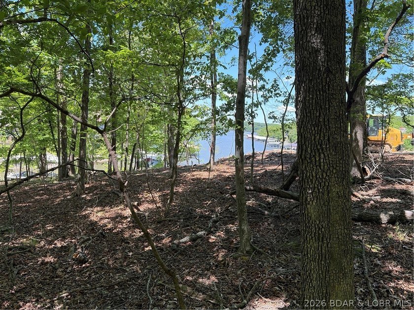 Discover the perfect setting for your dream lake home in the - photo 3