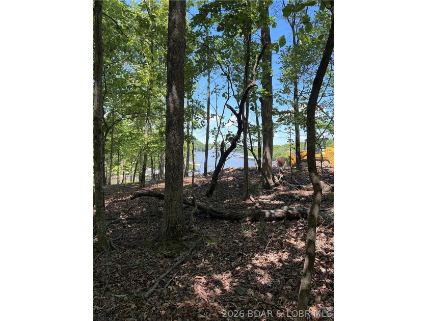 Discover the perfect setting for your dream lake home in the - photo 4