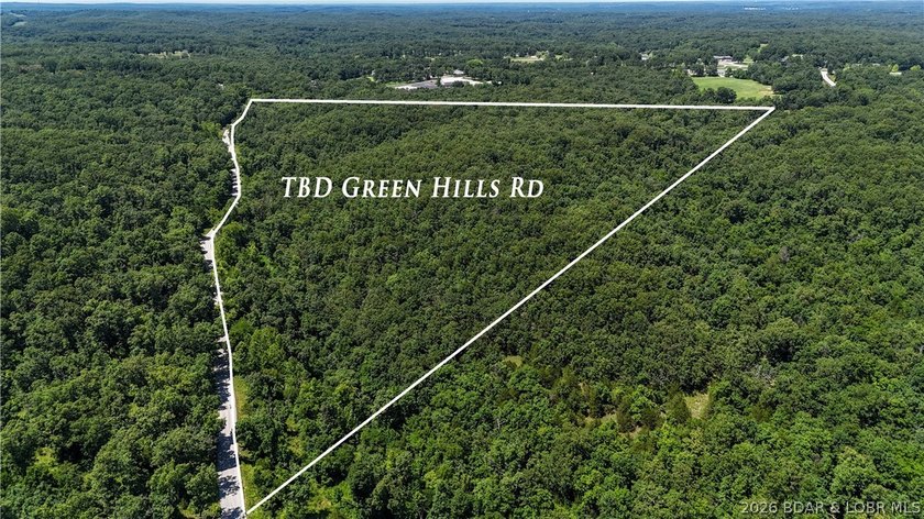 Beautiful 75+ acres of wooded land located just outside the city - photo 2