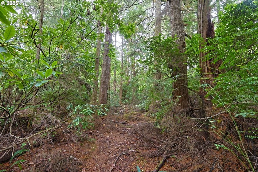 2 ACRES,CITY SERVICES, DIVIDABLE Discover the possibilities with - photo 11