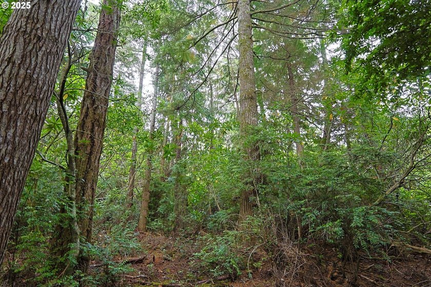 2 ACRES,CITY SERVICES, DIVIDABLE Discover the possibilities with - photo 12