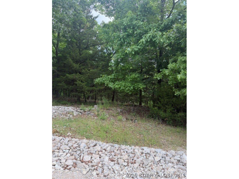 Great building lot in desirable Regency Cove, perfectly - photo 3
