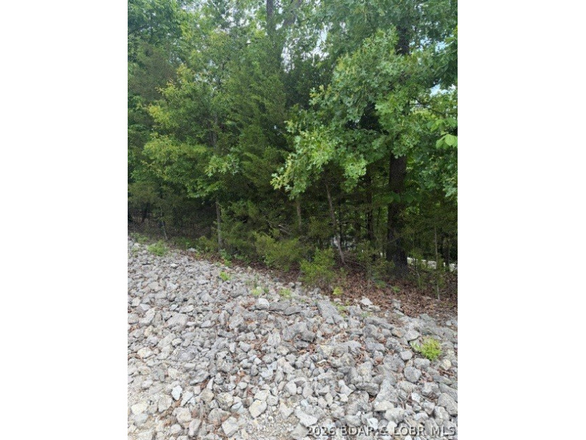 Great building lot in desirable Regency Cove, perfectly - photo 4