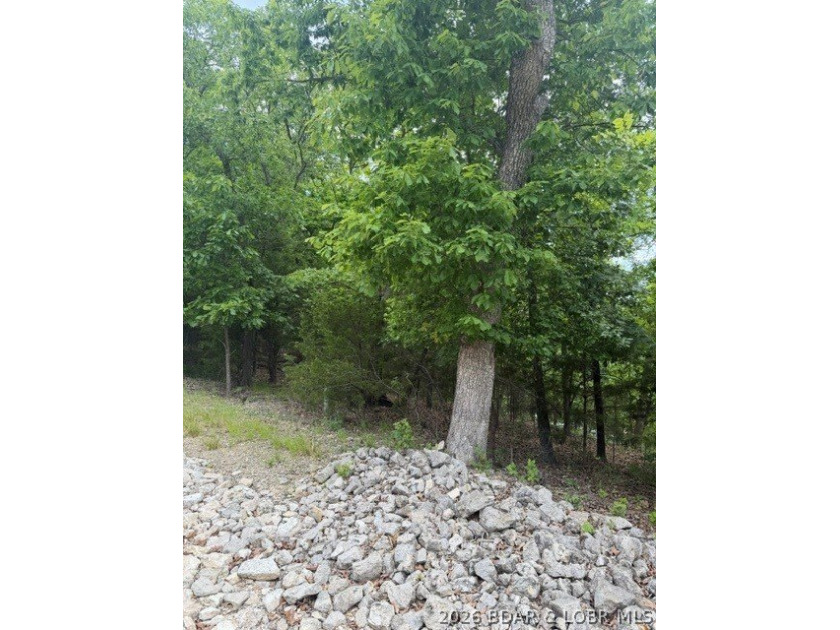 Great building lot in desirable Regency Cove, perfectly - photo 5