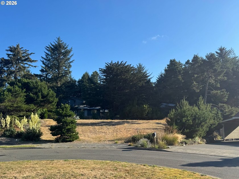 Beautiful .39-acre lot at the end-of-cul-de-sac in Pacific - photo 5