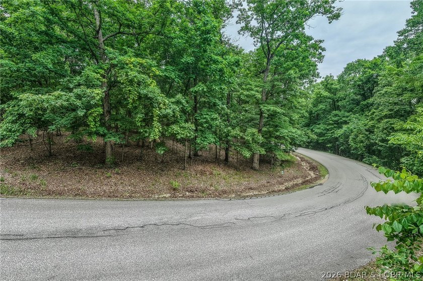 Build your dream home in the prestigious Porto Cima community at - photo 7