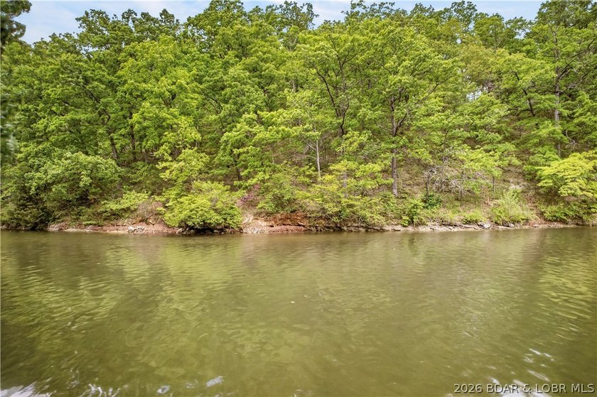 Rare opportunity to own 14 acres with an incredible 500 feet of - photo 6