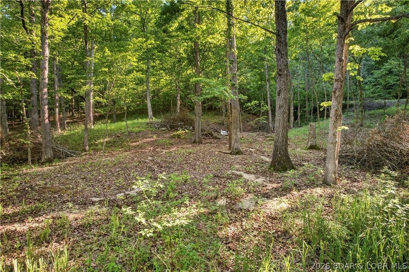 Rare opportunity to own 14 acres with an incredible 500 feet of - photo 7
