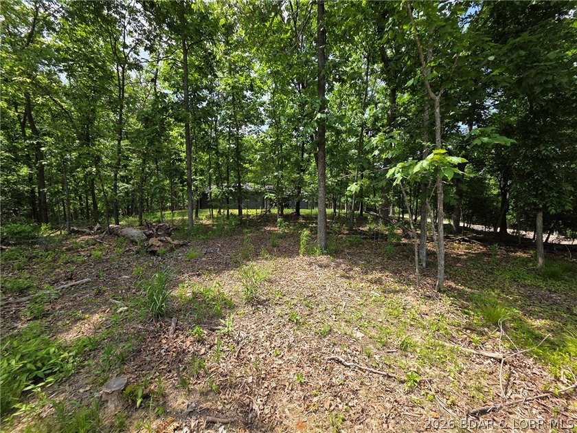Flat lot in Porto Cima! Build your dream home at the Lake - photo 3