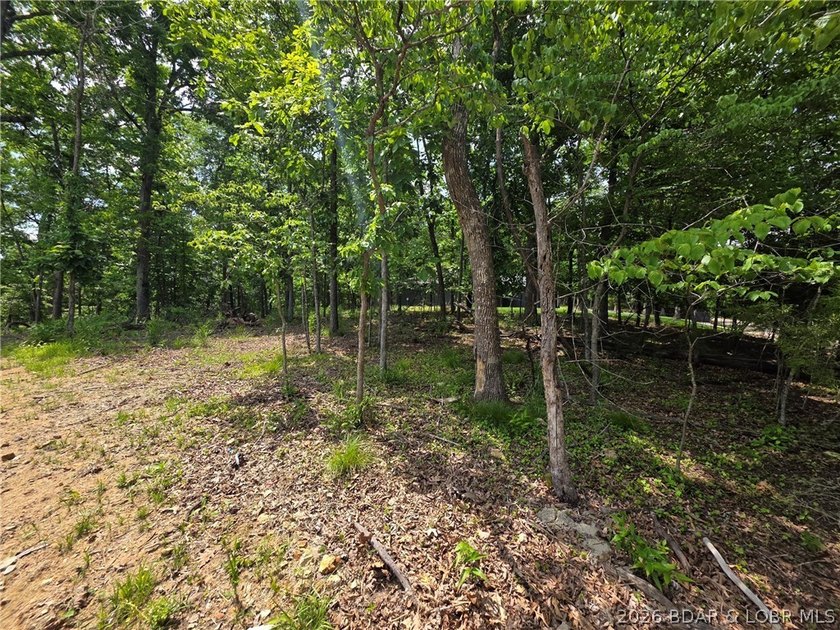 Flat lot in Porto Cima! Build your dream home at the Lake - photo 5