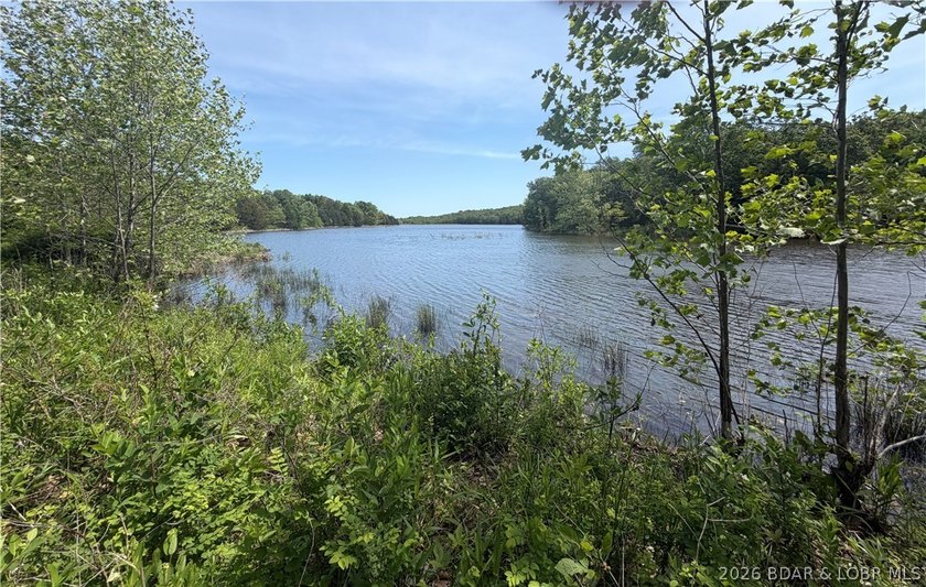 2.84 acres of gentle/flat, very buildable, lakefront land on the - photo 5