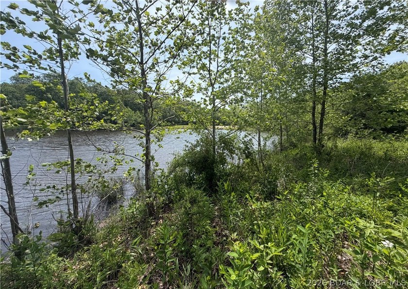 2.84 acres of gentle/flat, very buildable, lakefront land on the - photo 6