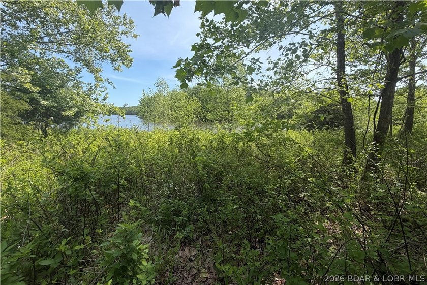 2.84 acres of gentle/flat, very buildable, lakefront land on the - photo 10